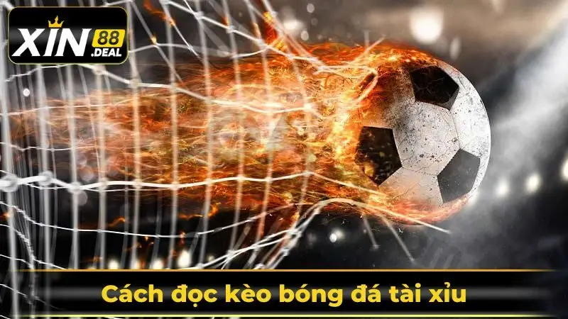 cach-doc-keo-tai-xiu