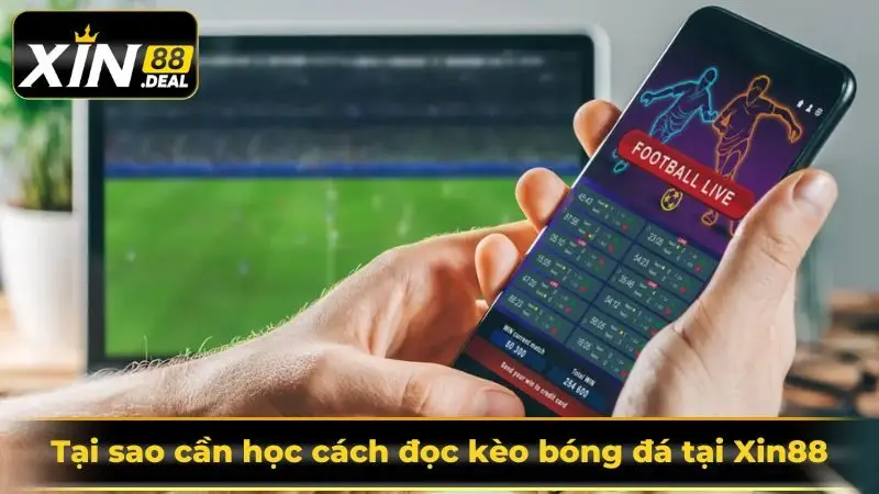 doc-keo-bong-da-hieu-cach-van-hanh-ca-cuoc