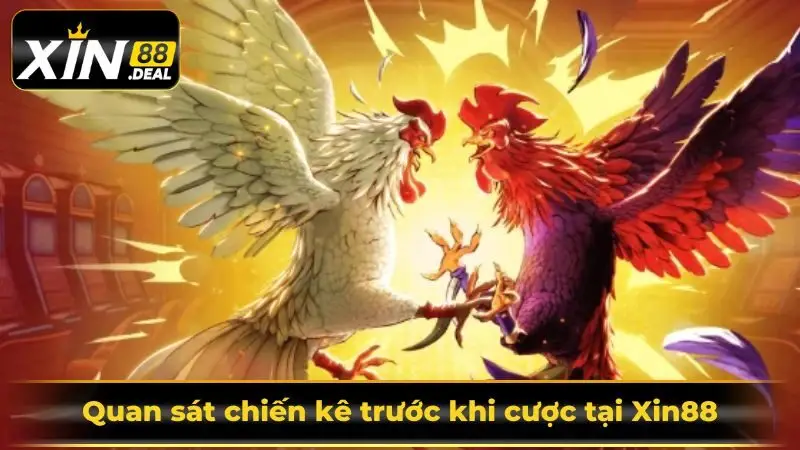 kinh-nghiem-da-ga-online-quan-sat-chien-ke