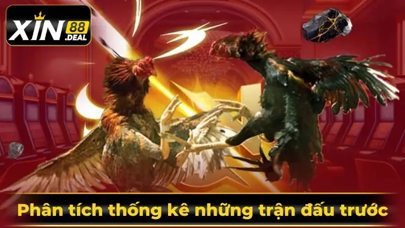 theo-doi-thong-ke-du-lieu-da-ga