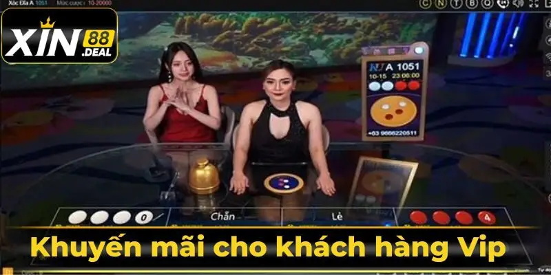 khuyen-mai-cho-khach-hang-vip